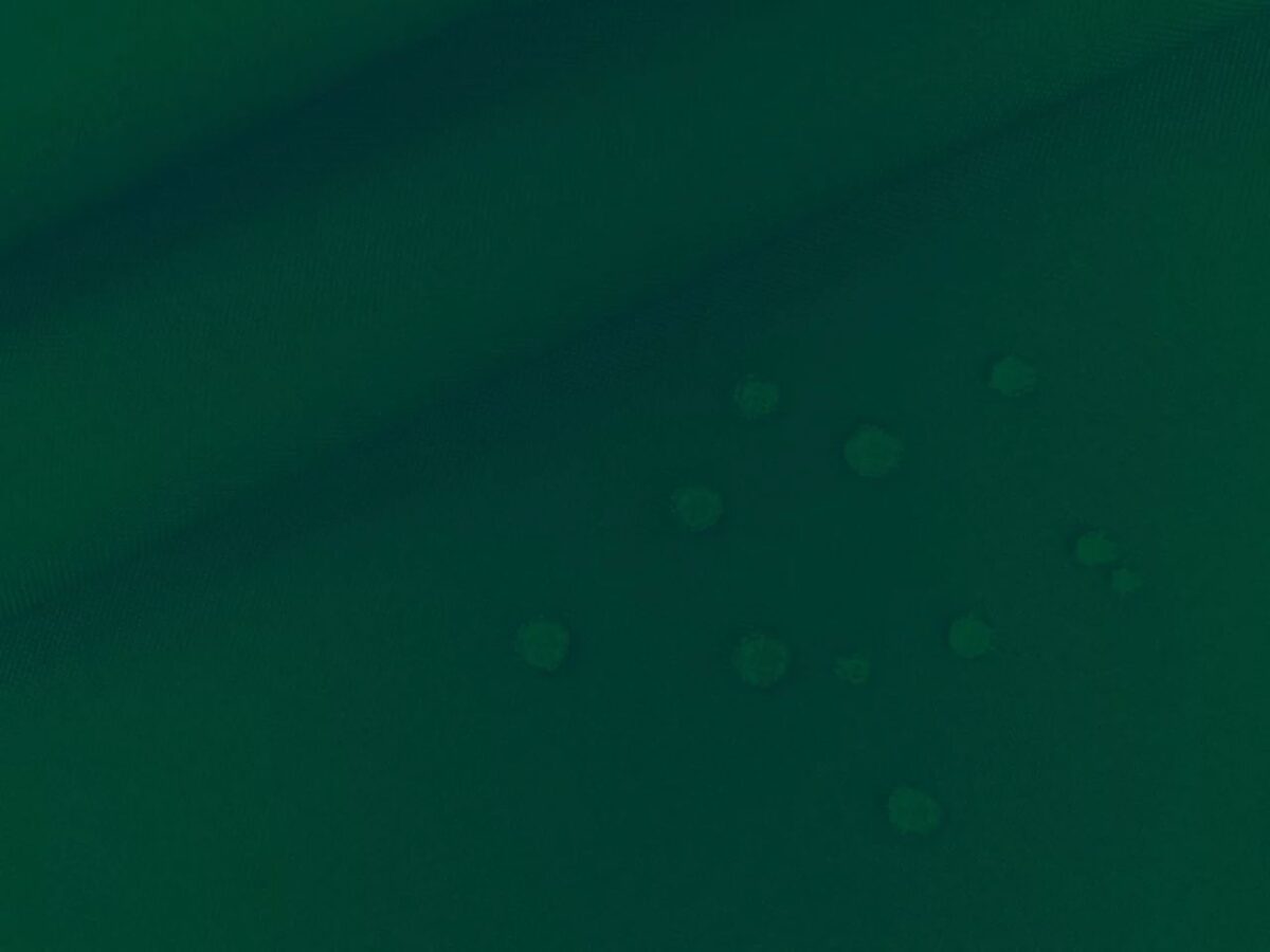 Namiot Ciemnazielen 2