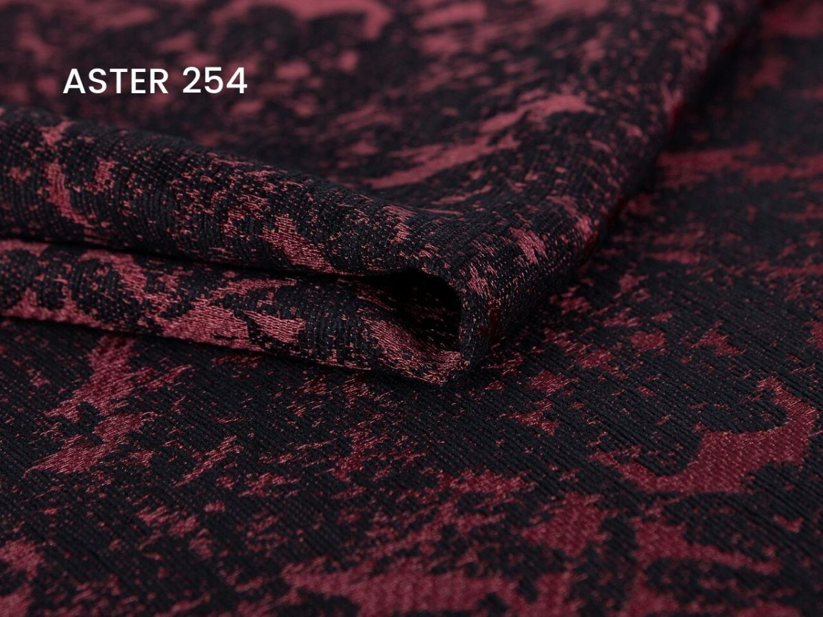 Aster 254 A