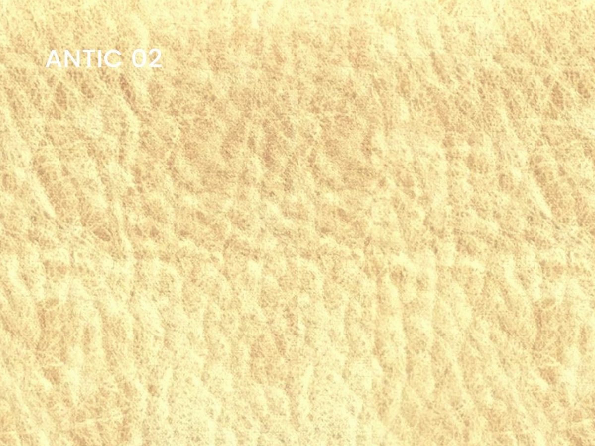 Antic 01 Ii