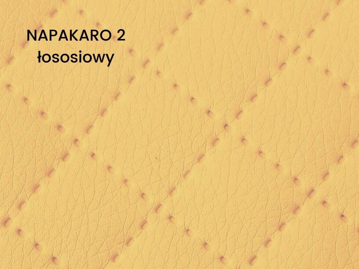 Napakaro 2 łososiowy