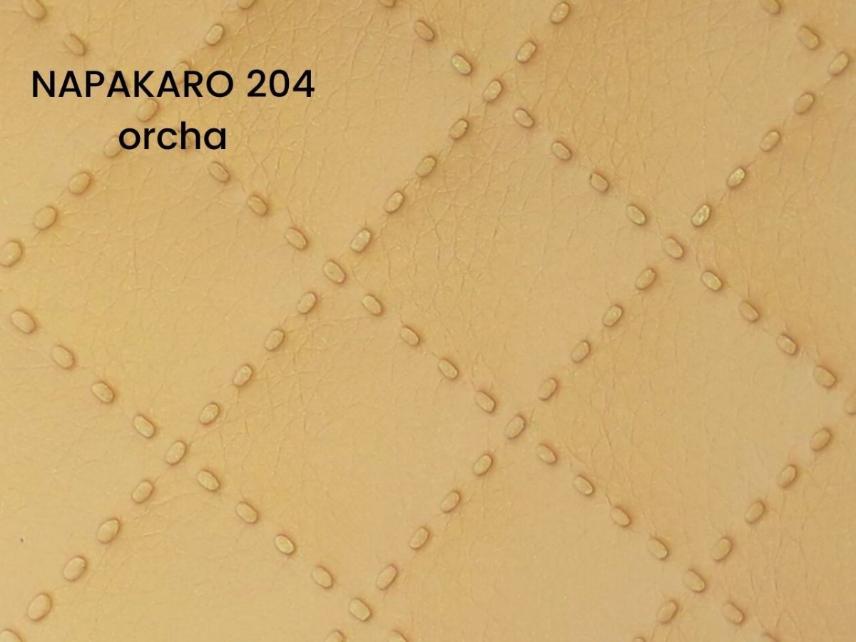Napakaro 204 Orcha