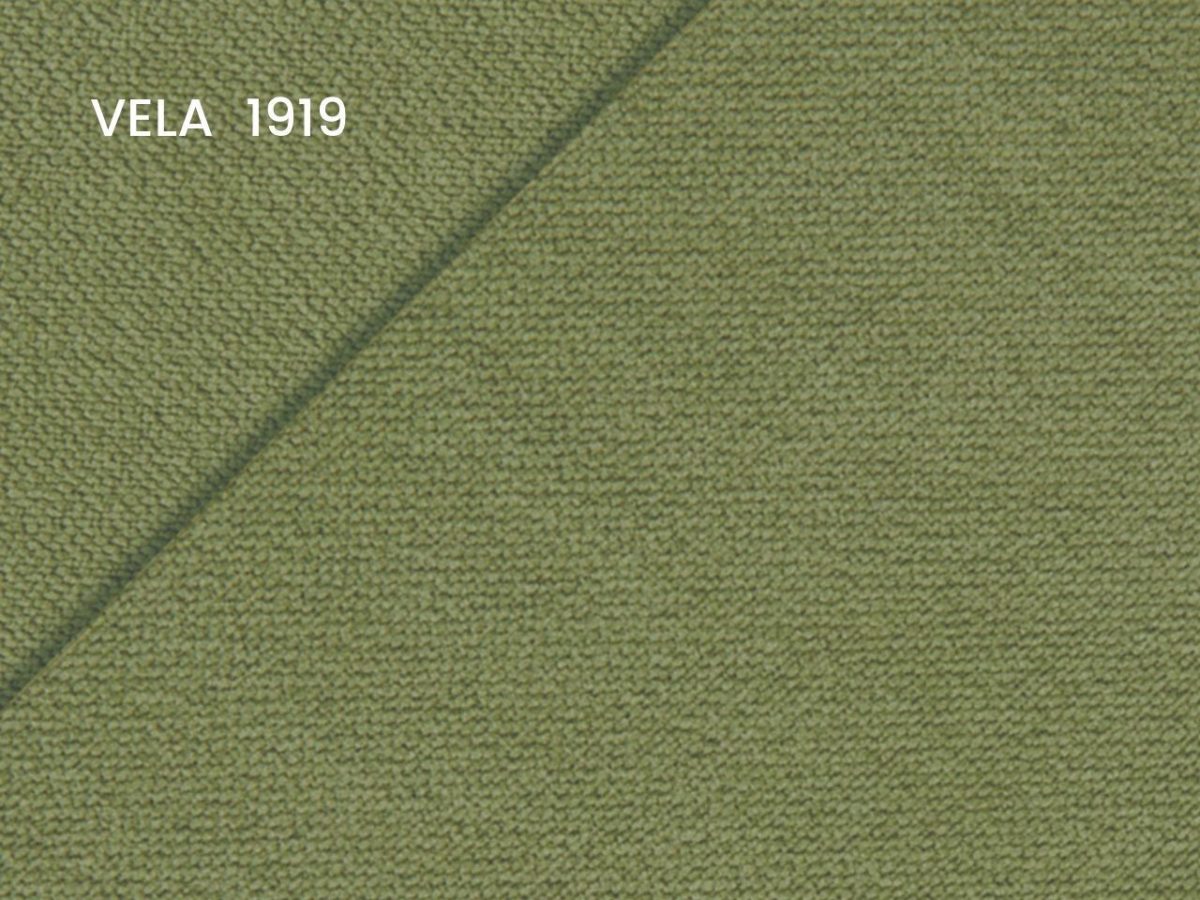 Vela 1919