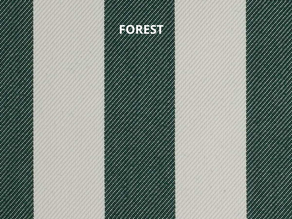 Sunset Stripes Forest